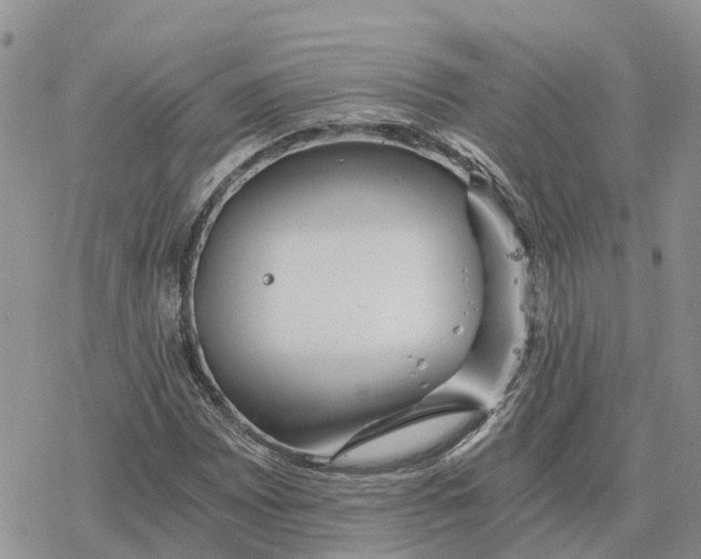 X0000078281065200611251412