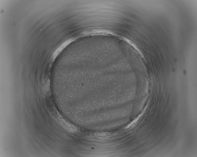 X0000078281066200611251412