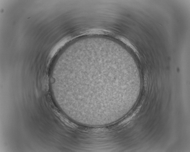 X0000078281067200611251412