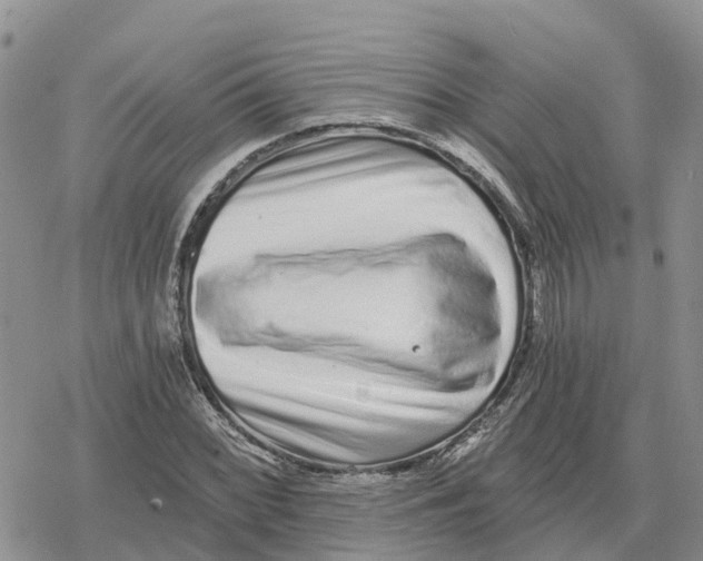 X0000078281068200611251412