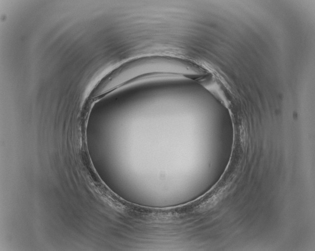 X0000078281069200611251412