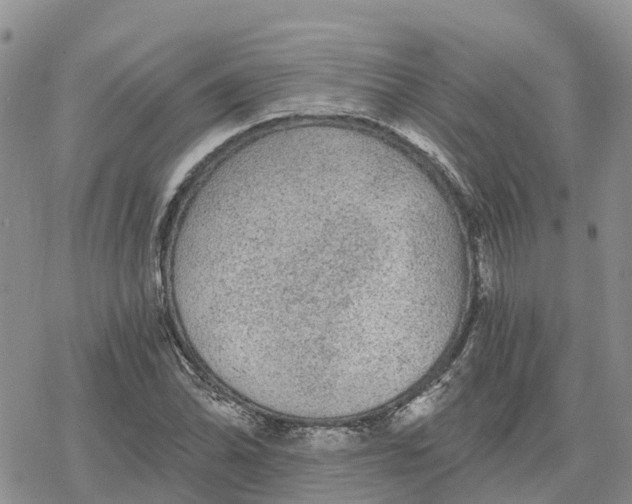 X0000078281070200611251412