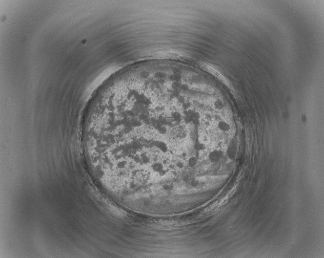 X0000078281071200611251412