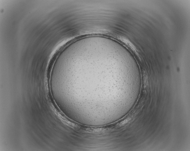 X0000078281072200611251412