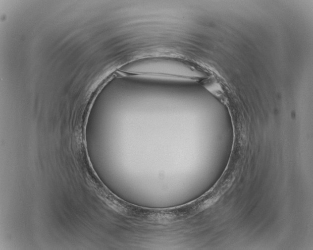 X0000078281073200611251412