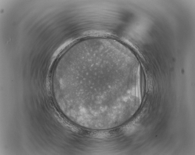 X0000078281074200611251412