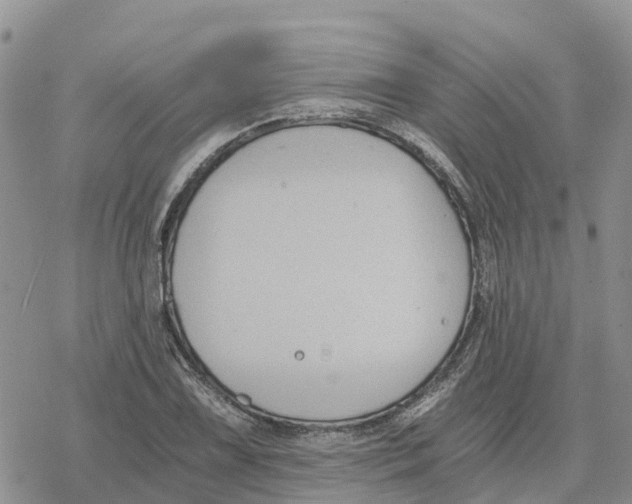 X0000078281075200611251412