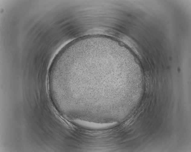 X0000078281076200611251412