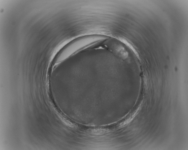 X0000078281077200611251412