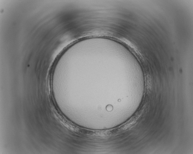 X0000078281078200611251412