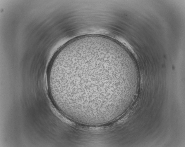 X0000078281080200611251412