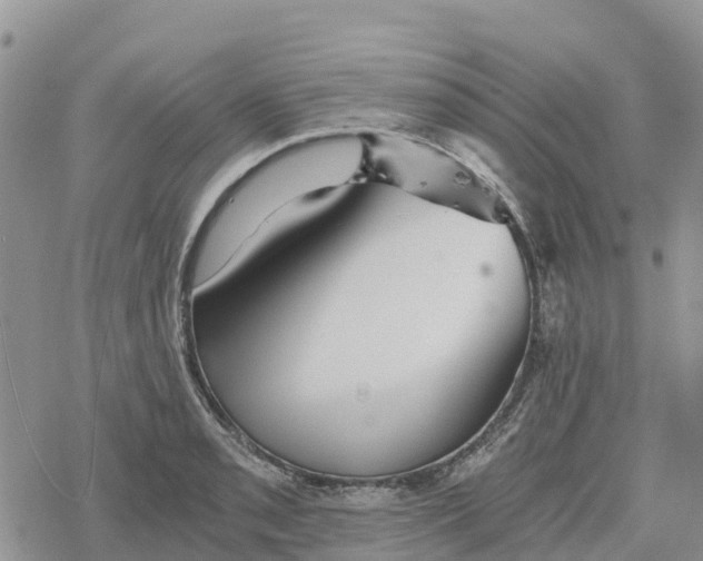 X0000078281085200611251412