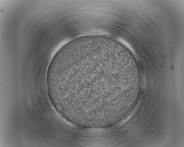 X0000078281087200611251412