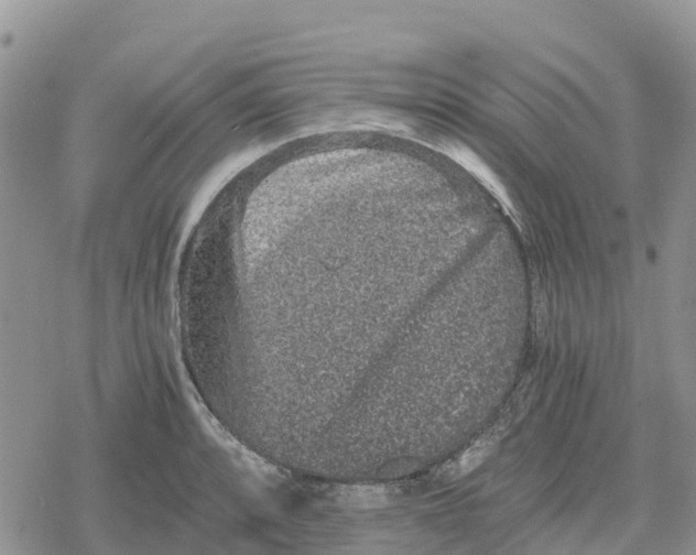 X0000078281088200611251412