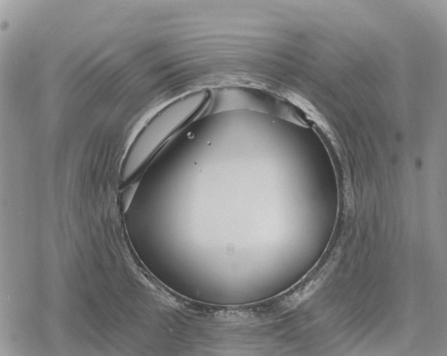 X0000078281089200611251412