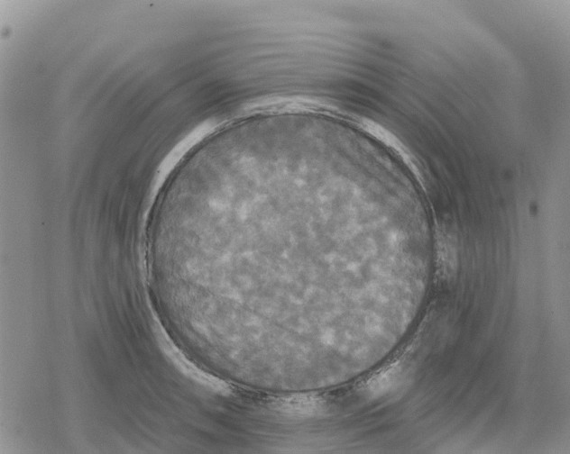 X0000078281090200611251412