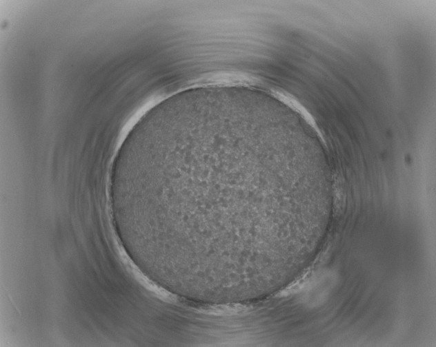 X0000078281091200611251412