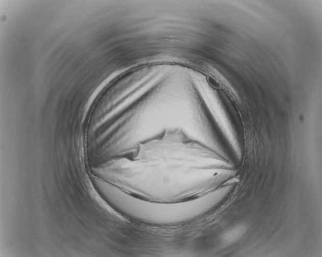 X0000078281092200611251412