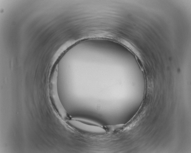 X0000078281093200611251412