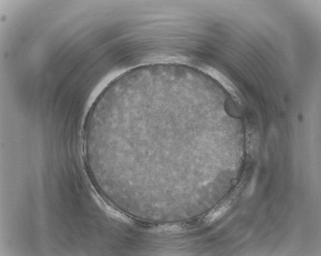 X0000078281094200611251412