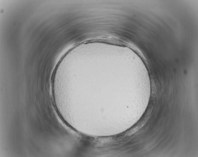 X0000078281095200611251412