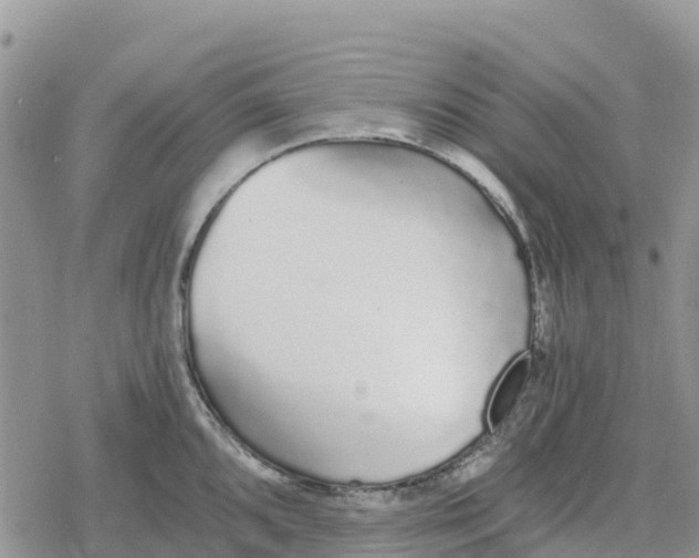 X0000078281096200611251412