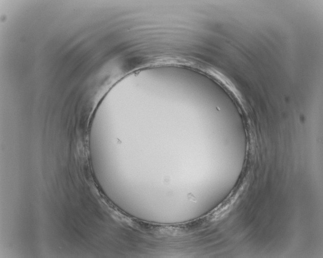 X0000078281097200611251412