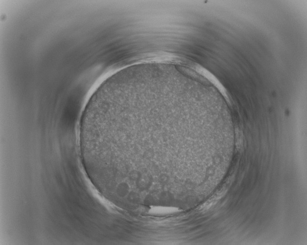 X0000078281099200611251412