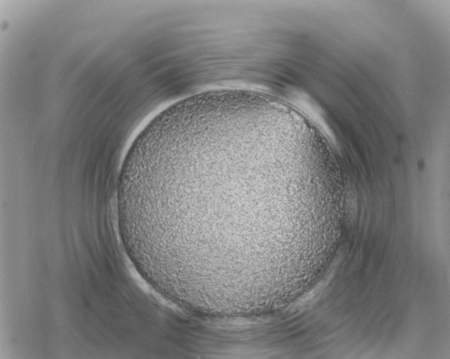 X0000078281100200611251412