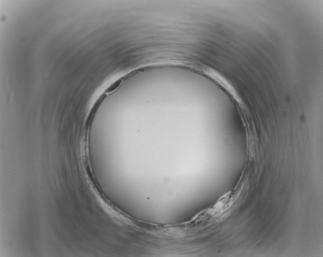 X0000078281101200611251412