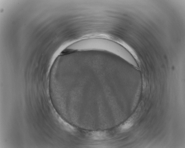 X0000078281102200611251412