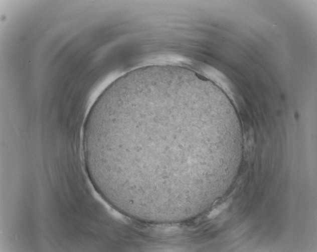 X0000078281103200611251412