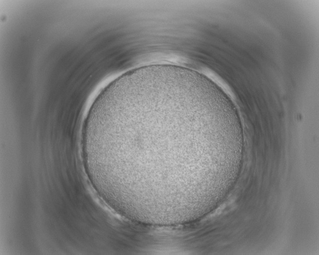 X0000078281104200611251412