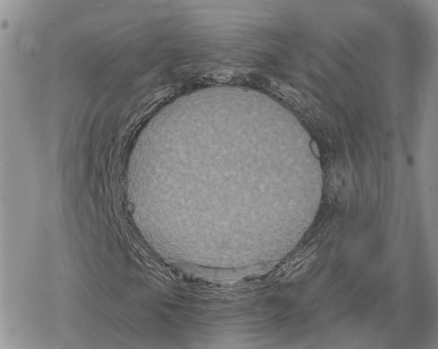 X0000078281105200611251411