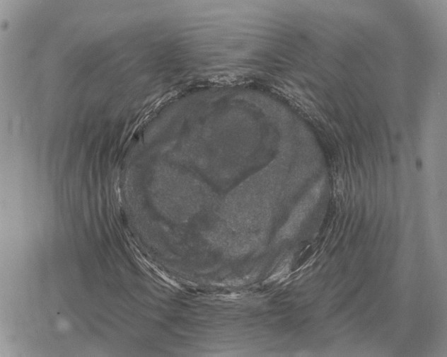 X0000078281106200611251411