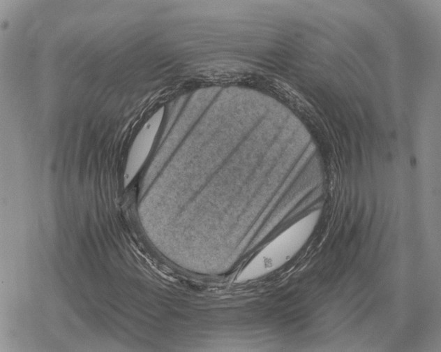 X0000078281108200611251411