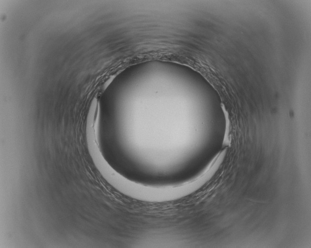 X0000078281109200611251411