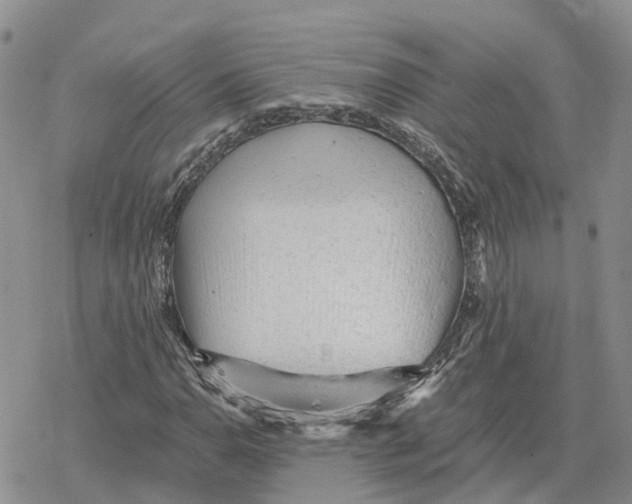 X0000078281110200611251411