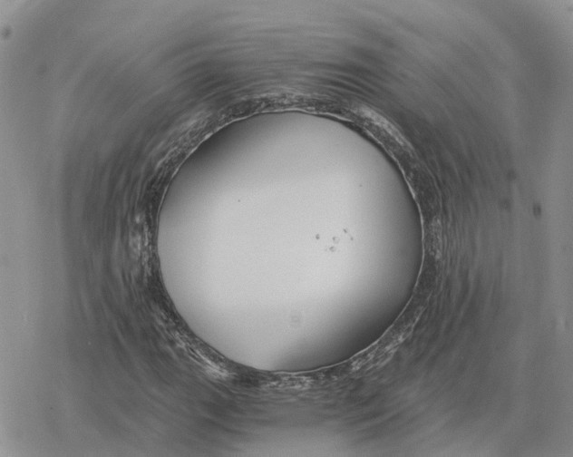 X0000078281111200611251411