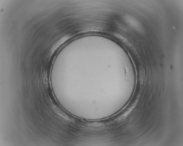 X0000078281113200611251411