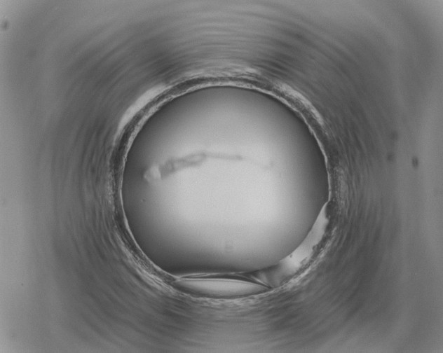 X0000078281114200611251411