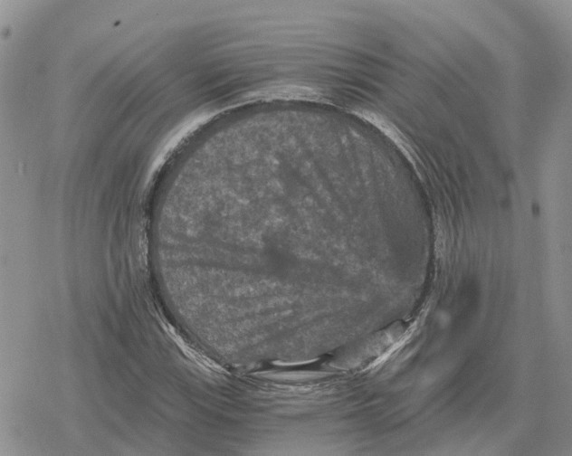 X0000078281115200611251411