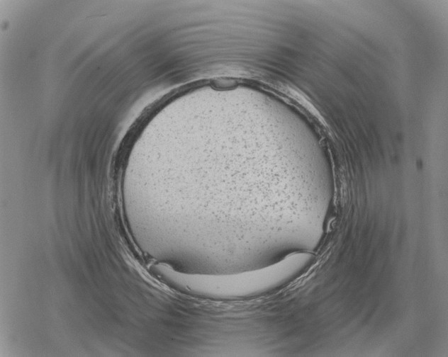 X0000078281116200611251411