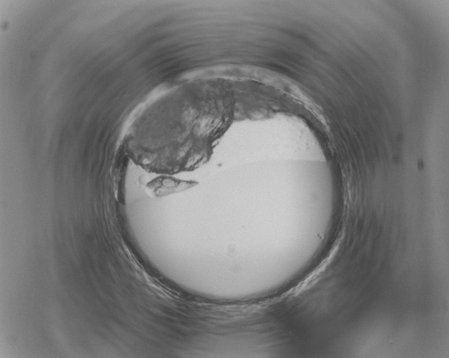 X0000078281117200611251411