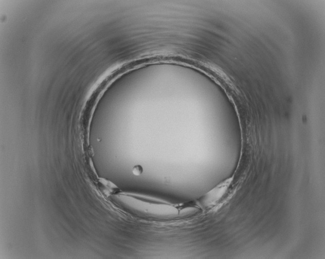 X0000078281118200611251411