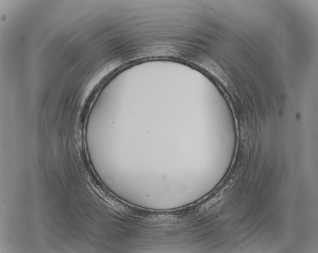 X0000078281119200611251411