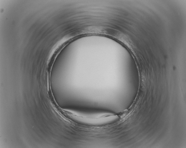 X0000078281123200611251411