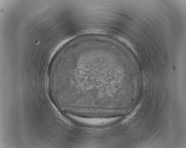 X0000078281125200611251411