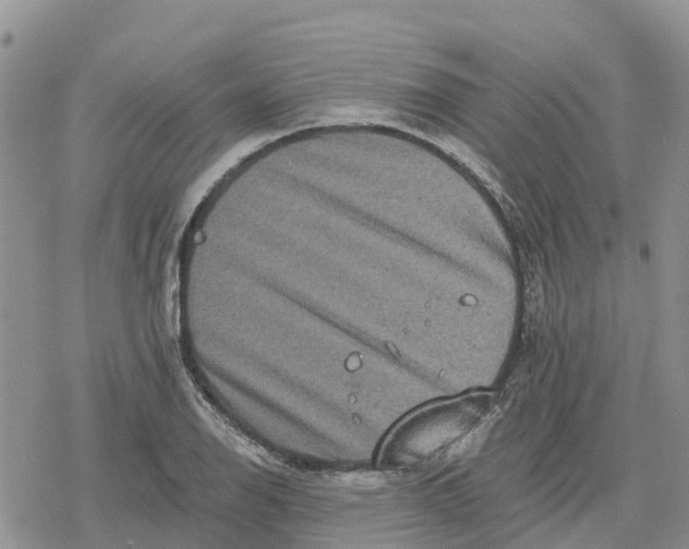 X0000078281126200611251411