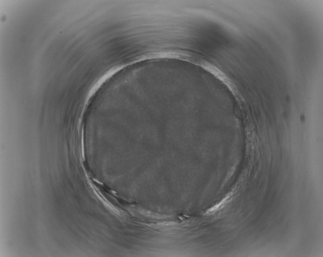 X0000078281127200611251411